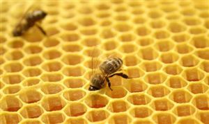 双赢彩票瓦楞纸行业现状分析 瓦楞纸行业前景分析(图6)
