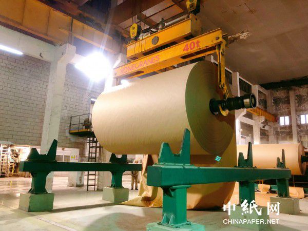 近期纸价整体持续上调 瓦楞纸、生活用纸喊涨双赢彩票(图3)