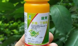 双赢彩票纸制品出口保持上升势头 纸制品行业市场发展现状分析(图2)