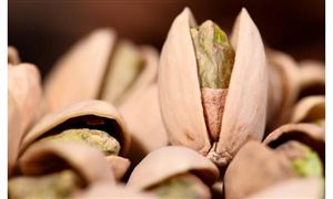纸双赢彩票制品包装行业现状分析以及行业前景分析(图7)