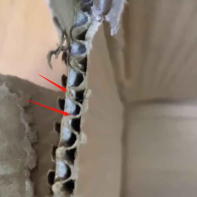 从批发市场买一箱苹果纸双赢彩票箱有5斤半女子拆开发现夹层竟是水泥(图5)