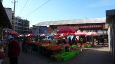 双赢彩票收藏！全国知名冷冻食品批市场大全春节打火锅搞起(图7)