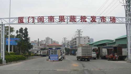双赢彩票收藏！全国知名冷冻食品批市场大全春节打火锅搞起(图12)
