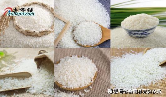 双赢彩票小厂开个两万的不愁销路的小型加工厂(图2)