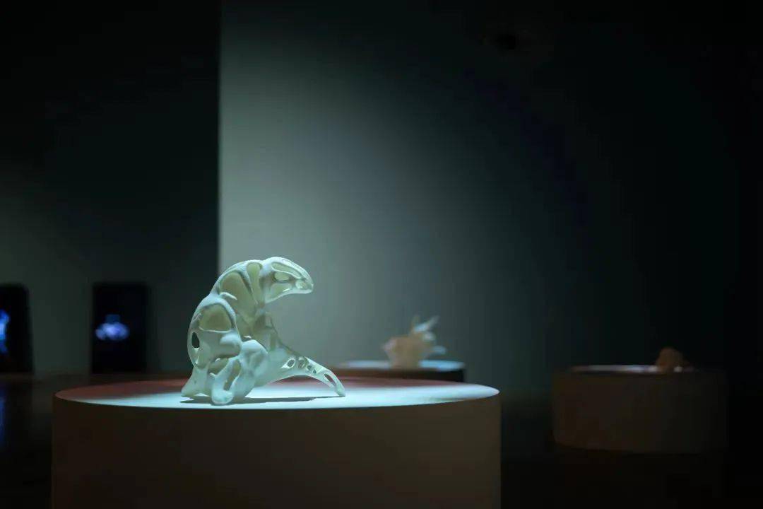 双赢彩票雅昌指数 月度(2022年7月)策展人影响力榜单(图26)