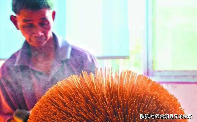 双赢彩票藏在农村不起眼可以垄断的暴利小生意致富项目(图3)