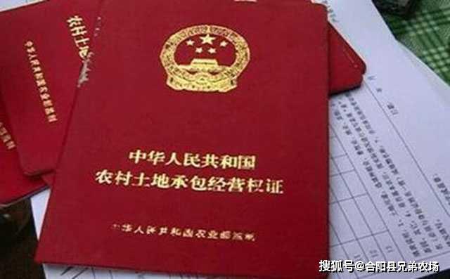 双赢彩票藏在农村不起眼可以垄断的暴利小生意致富项目