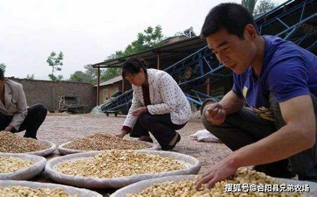 双赢彩票藏在农村不起眼可以垄断的暴利小生意致富项目(图4)