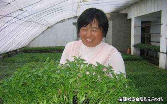 双赢彩票藏在农村不起眼可以垄断的暴利小生意致富项目(图7)