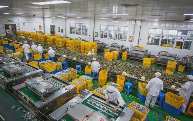 创富内参：这几个10万以内的小型加工双赢彩票厂做好了年收入百万(图2)