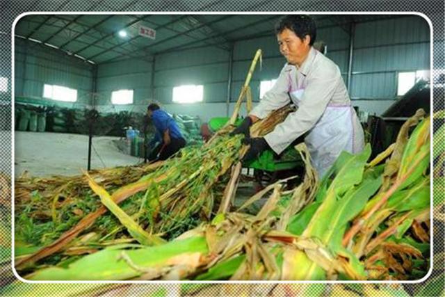 开办小型加工厂创业有哪些好的项目？推荐几个供参考双赢彩票(图2)