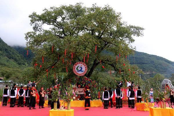 漾濞（yàng bì）双赢彩票怎么读？这里是茶马古道重镇中国核桃之乡