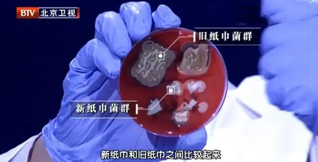 9块9一箱的卫生纸不能用来擦？双赢彩票(图5)