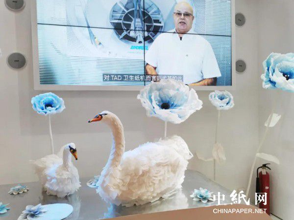 双赢彩票CIDPEX2021南京生活用纸年会圆满落幕