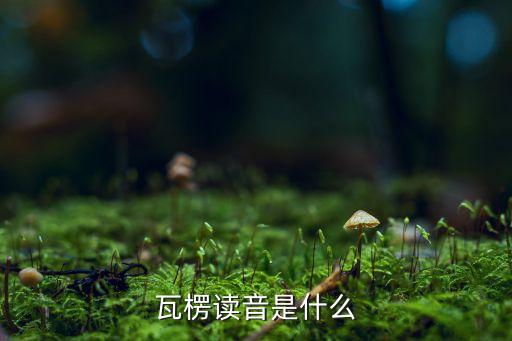 双赢彩票瓦楞瓦楞是什么意思