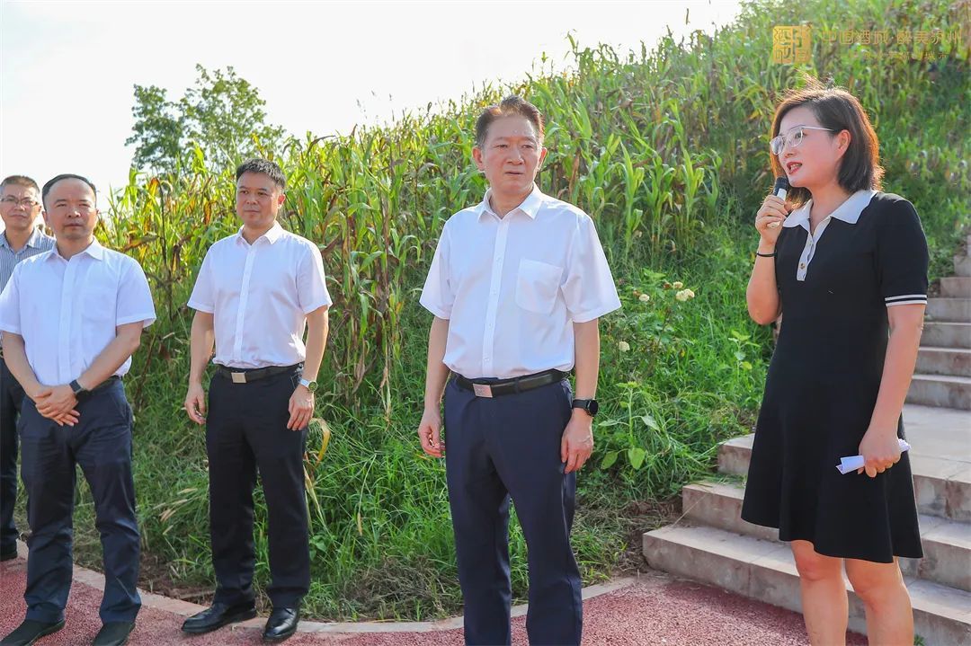 泸州市委书记杨林兴在龙马潭区调研强调：着力打造泸州共同富裕示范区双赢彩票(图3)