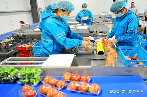 双赢彩票这六个加工项目的确很赚钱但也较大资金雄厚的可以考虑！(图14)