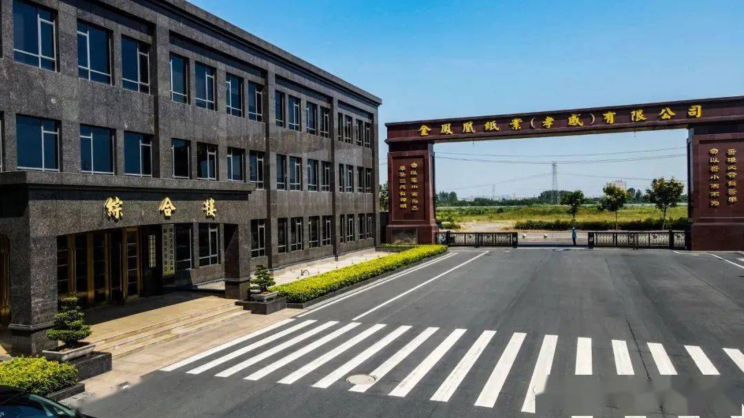 聚焦 双赢彩票金凤凰纸业瓦楞纸项目两条生产线已投产达效(图2)