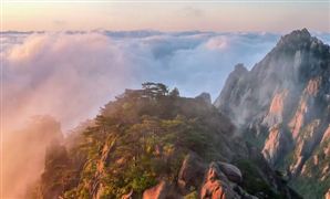 2023年造纸行业市场发展前瞻 造纸行业发展现状前景分析双赢彩票(图3)