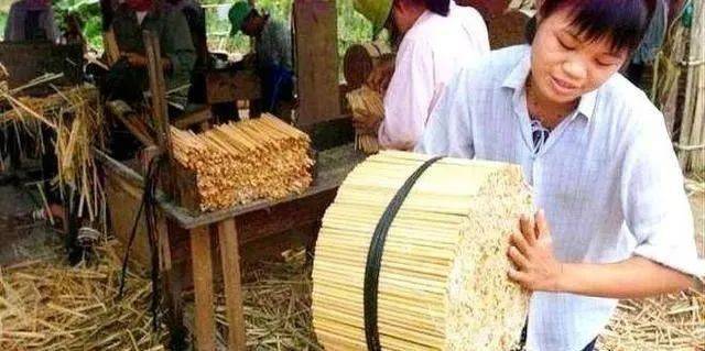 生意经 返乡办小型加工厂这9个少回报高的加工项目赶紧看看有没有你能做的！双赢彩票(图6)